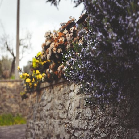 Pieve a Maiano Agriturismo La Collina Toscana מראה חיצוני תמונה