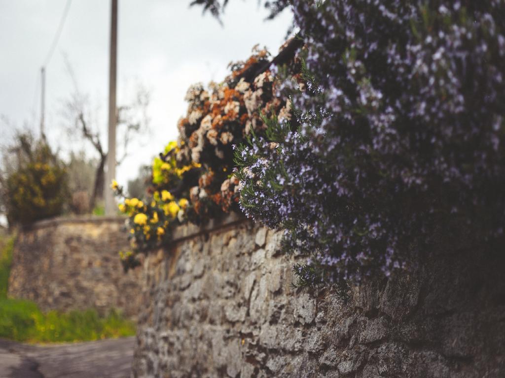 Pieve a Maiano Agriturismo La Collina Toscana מראה חיצוני תמונה