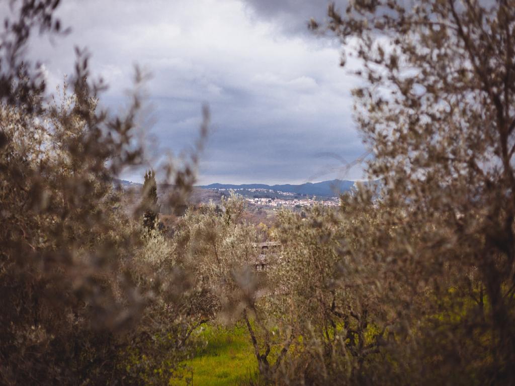 Pieve a Maiano Agriturismo La Collina Toscana מראה חיצוני תמונה